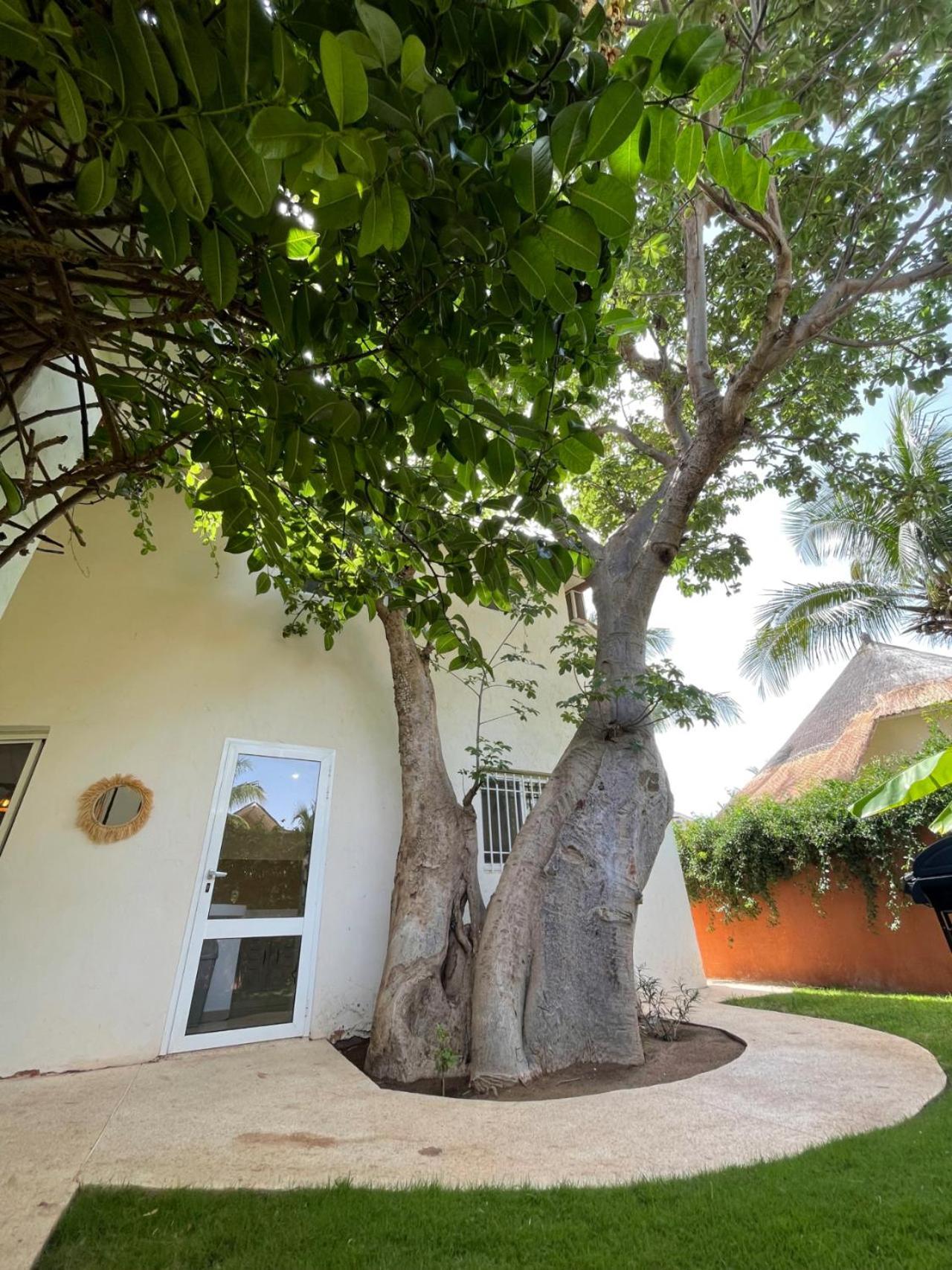Agence Adjana Resort - Residence Du Port 3 Sali Tapé 외부 사진